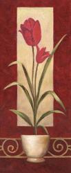 Tulips In Pot | Obraz na stenu