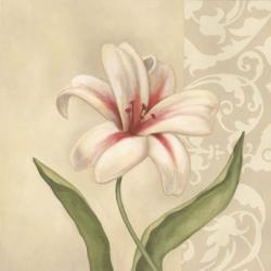Cream Lily | Obraz na stenu
