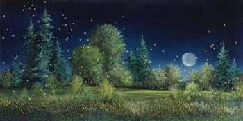 Fireflies | Obraz na stenu