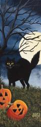 Black Cat | Obraz na stenu