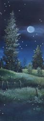Meadow at Night | Obraz na stenu