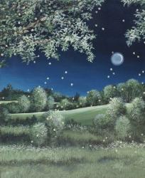 Fireflies Meadow | Obraz na stenu