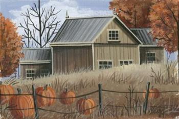 Pumpkin Field | Obraz na stenu