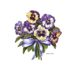 Pansy Bouquet | Obraz na stenu