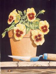 Potted Pansies | Obraz na stenu