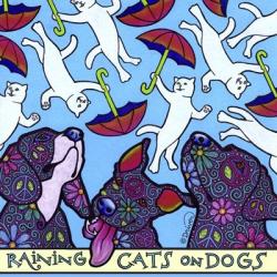 Raining Cats on Dogs | Obraz na stenu