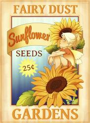 Sunflower Seeds | Obraz na stenu