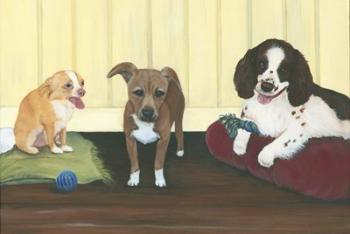 Three Pups | Obraz na stenu