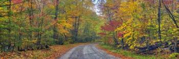 Autumn Road | Obraz na stenu