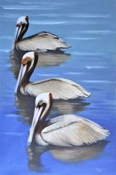 Three Pelicans | Obraz na stenu