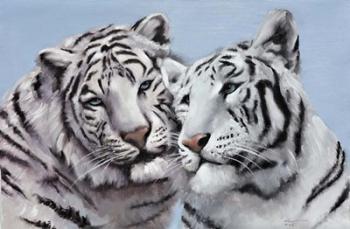 Loving White Tigers | Obraz na stenu