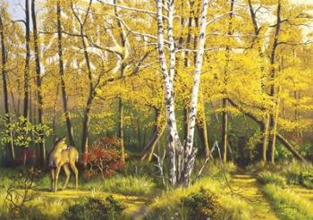 Whitetail Deer In Fall | Obraz na stenu