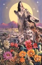 Coyote | Obraz na stenu