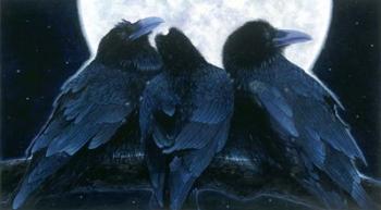 Corvus Moon | Obraz na stenu