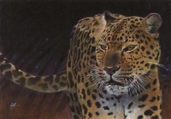 Leopard | Obraz na stenu