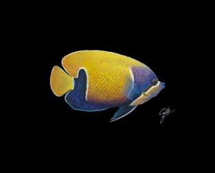 Blue Girdled Angel | Obraz na stenu