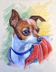 Chihuahua With Red Coat | Obraz na stenu