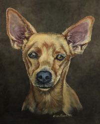 Cody The Chihuahua | Obraz na stenu