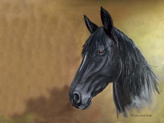 Black Horse Portrait | Obraz na stenu