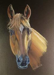 Cowboy Horse | Obraz na stenu