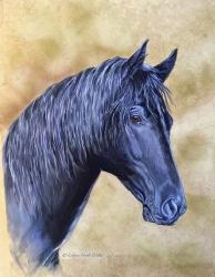 Crown Prince Horse | Obraz na stenu