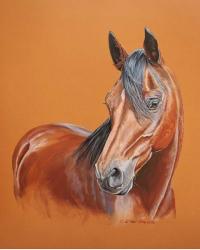 Gambler Horse | Obraz na stenu