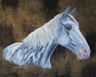 Patch Horse | Obraz na stenu