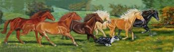 Running Horses With Border Collie | Obraz na stenu