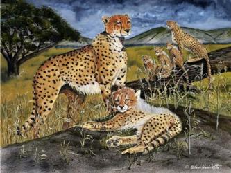 Cheetah Family | Obraz na stenu