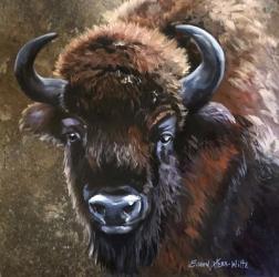 Buffalo Bob | Obraz na stenu