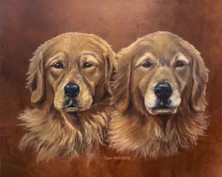 Golden Retrievers | Obraz na stenu