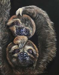 Happy Sloths | Obraz na stenu