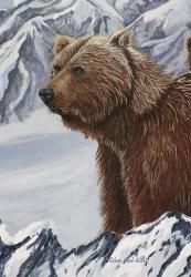 Grizzly Snowy Mountain | Obraz na stenu