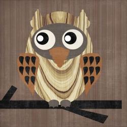 Owl 1 | Obraz na stenu
