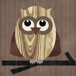 Owl 2 | Obraz na stenu