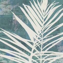 Fronds on Azure | Obraz na stenu