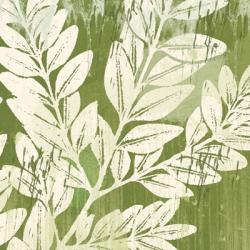 Sage Foliage | Obraz na stenu