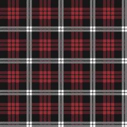 Tartan 1 | Obraz na stenu
