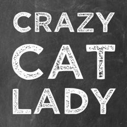 Crazy Cat | Obraz na stenu