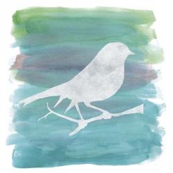 Watercolor Bird 1 | Obraz na stenu