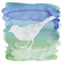 Watercolor Bird 4 | Obraz na stenu