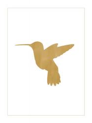 Gold Hummingbird | Obraz na stenu
