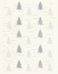 Cream Birch Trees | Obraz na stenu