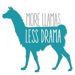 Llama Drama | Obraz na stenu