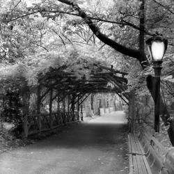 Central Park Pergola | Obraz na stenu