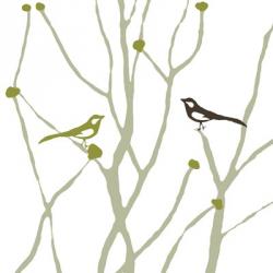 Little Bird | Obraz na stenu