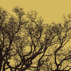 Rejoice II | Obraz na stenu