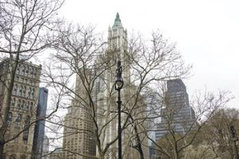 Woolworth Building from City Hall Park | Obraz na stenu