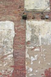Brick Wall and White Paint | Obraz na stenu