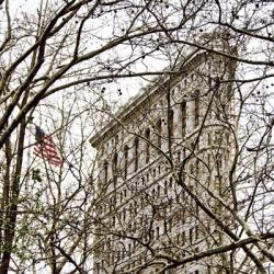 Veiled Flatiron Building (detail) | Obraz na stenu